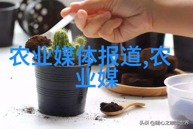 技术与人力两者如何协同推进小型加工厂的成长