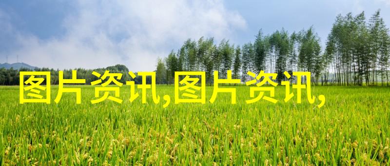 林蛙养殖技术-深度解析林蛙良种选育饵料配方与环境控制