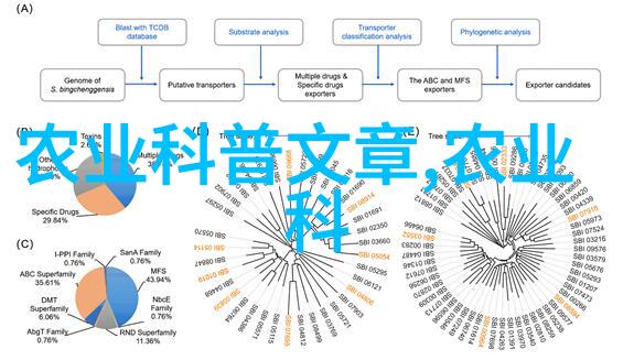 10万元养殖赚钱 - 10万元起步选择正确的养殖项目让收益丰厚