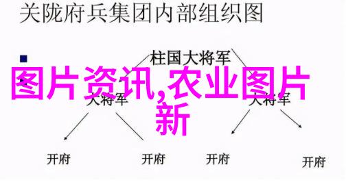 青贮饲料管理高效的青贮饲料收集和储存技巧