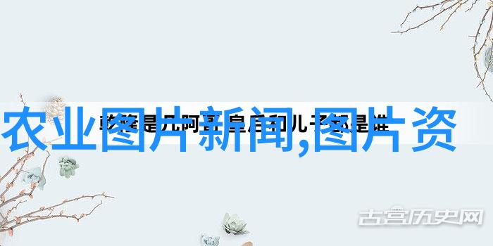 在繁华都市的角落里寻找野生药材从高楼大厦到荒凉山谷探索那些不为人知的自然药库