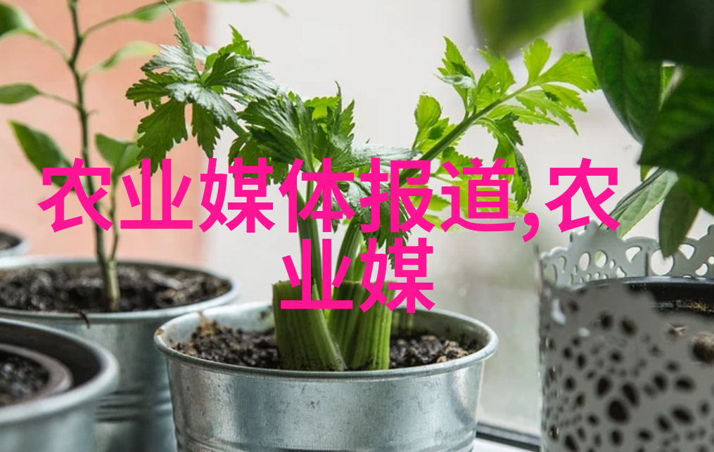 新发现的超级抗菌菌株有望革新医疗保健