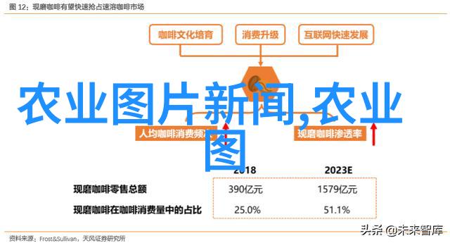 茶树的介绍-绿叶飘香探索茶树的历史与栽培艺术