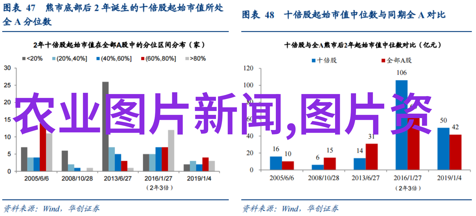 茶艺体验-从基础知识到精湛技艺茶叶入门指南