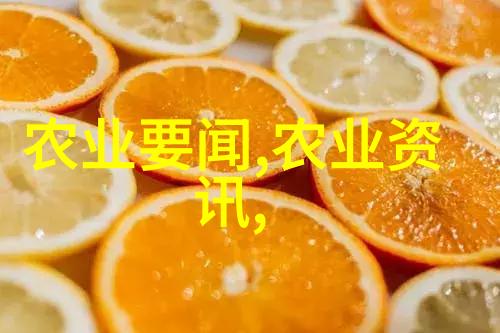 蜜蜂养蜂技术精准农业中的蜜蜂管理与蜂房健康维护