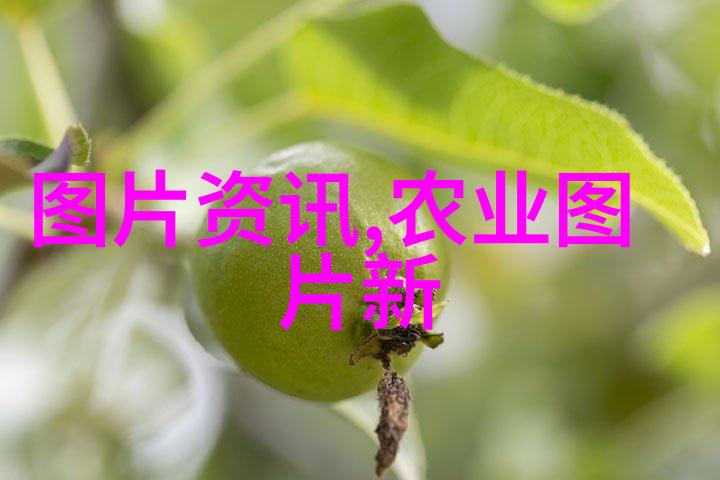 园艺花卉种植技术亲手养出你心仪的花朵