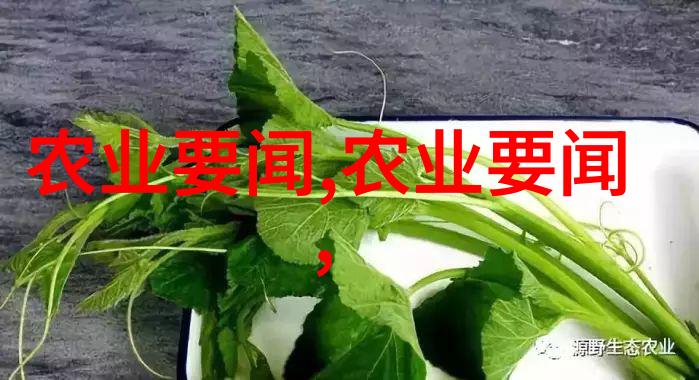 黄粉虫的养殖艺术绘制翩翩舞动的生命画卷