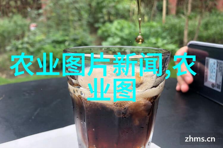 茶树的知识揭秘叶绿之源与香醇传统