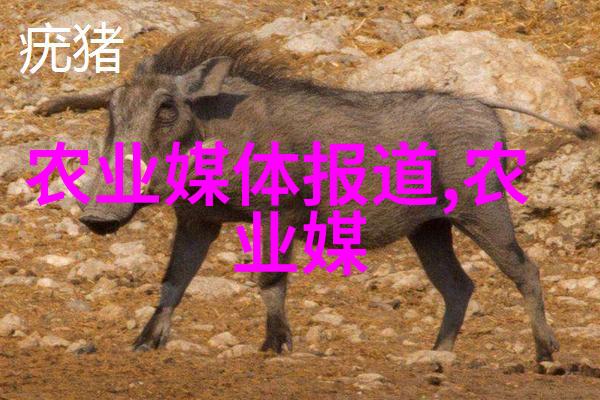 小规模农户也能通过何种方式实现在经济效益上获得优势