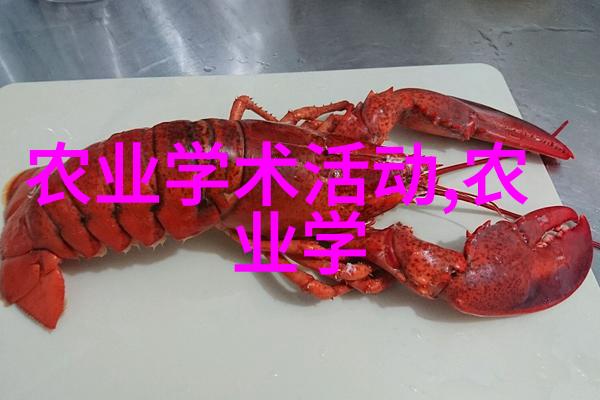 探秘师士传说揭开古老英雄的神秘面纱