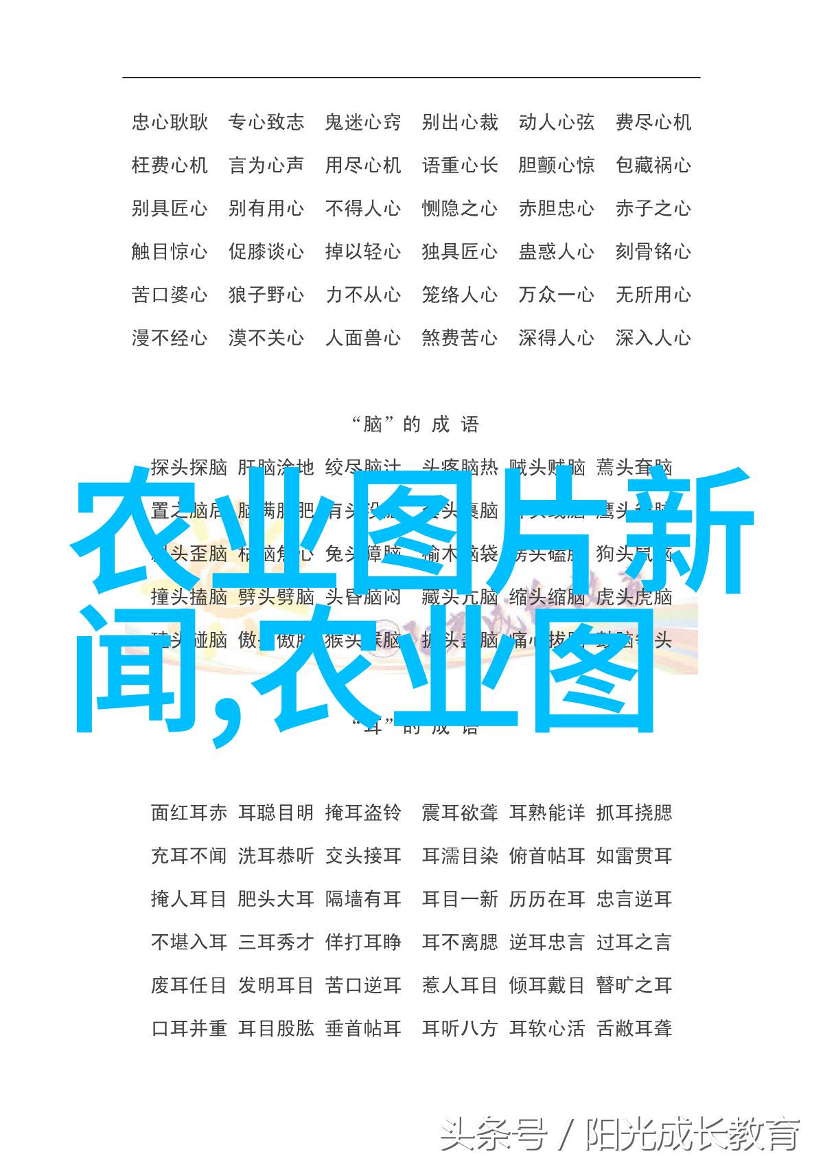 在热浪或干旱中蜜蜂数量减少了我可以在六月为它们做些什么来促进新的生长和繁殖