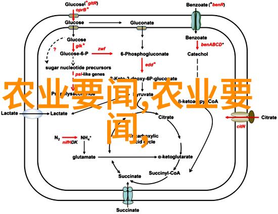 李实蜂自然中蜜蜂最怕的三样东西