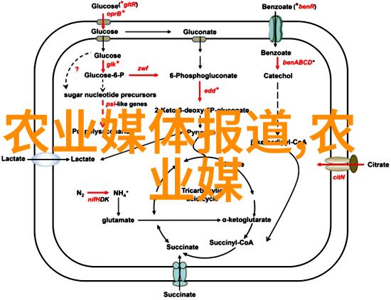 智能水产养殖-精准农场如何利用科技提升养殖效率与环境可持续性