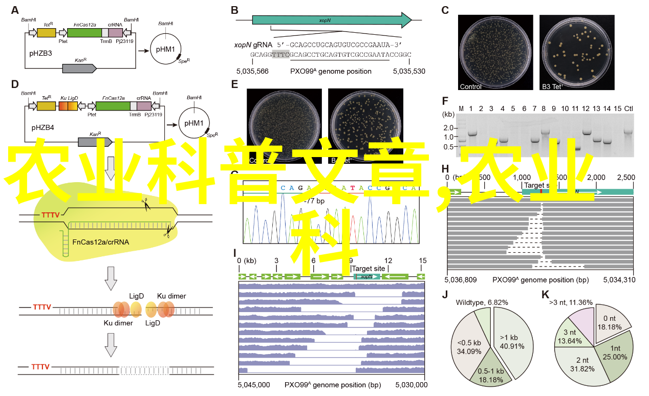 水质管理关键如何通过生物过滤系统提升鳝鱼养殖水质