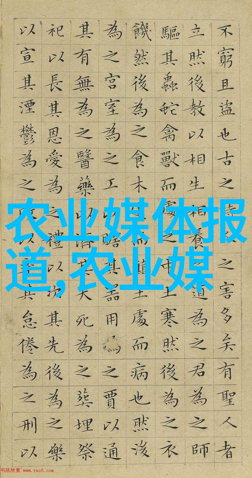 在古老的帝王宫殿中龙袍是权力的象征它下方隐藏着一个令人惊叹的秘密