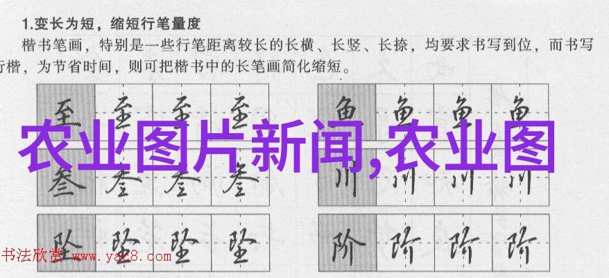 液压机械我是怎么从零开始学懂它的