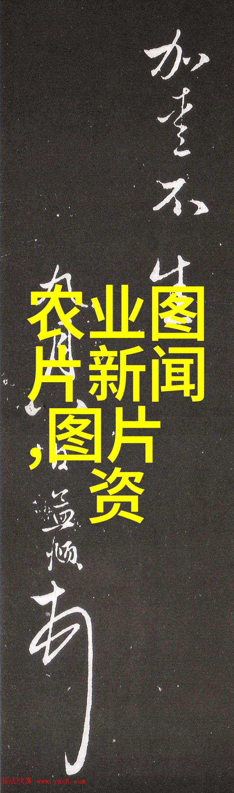 二手旋耕机的再生之旅1米2的坚韧与农业的希望