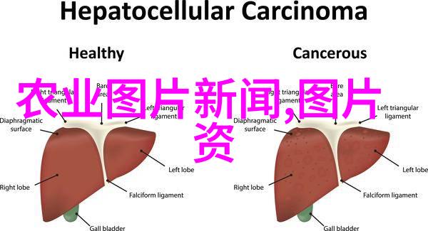 宠物医疗技术可以专升本不-追逐爱心的梦想宠物医疗技术学子的成长之路