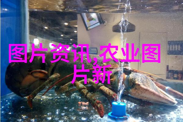 生物安全保障体系建设如何确保无害性和卫生标准在泥鳄生产中得到维护