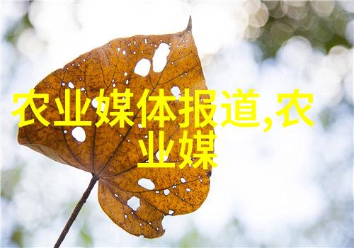 淡水小龙虾养殖技术我来教你怎么把龙虾养得肥肥的