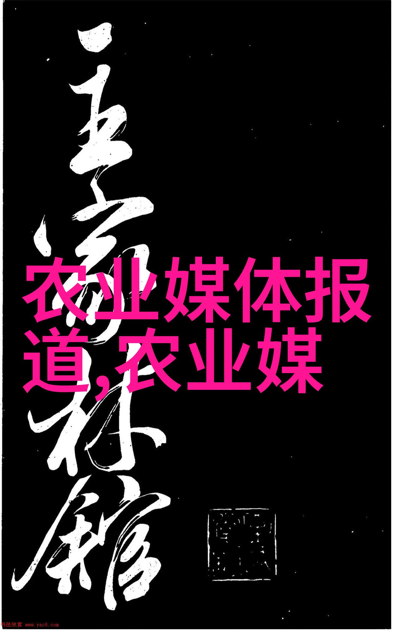 姜可小说全文免费阅读txt-追寻文字的味道姜可作品全集