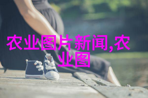 秘密花园里的十公分玉兰树背后的故事与惊人的真相