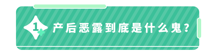 小狗的友谊温暖的小狗伴侣