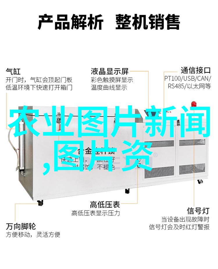 蜜室中的策略适应性与多样性在怎么育出优秀蜂群中的作用