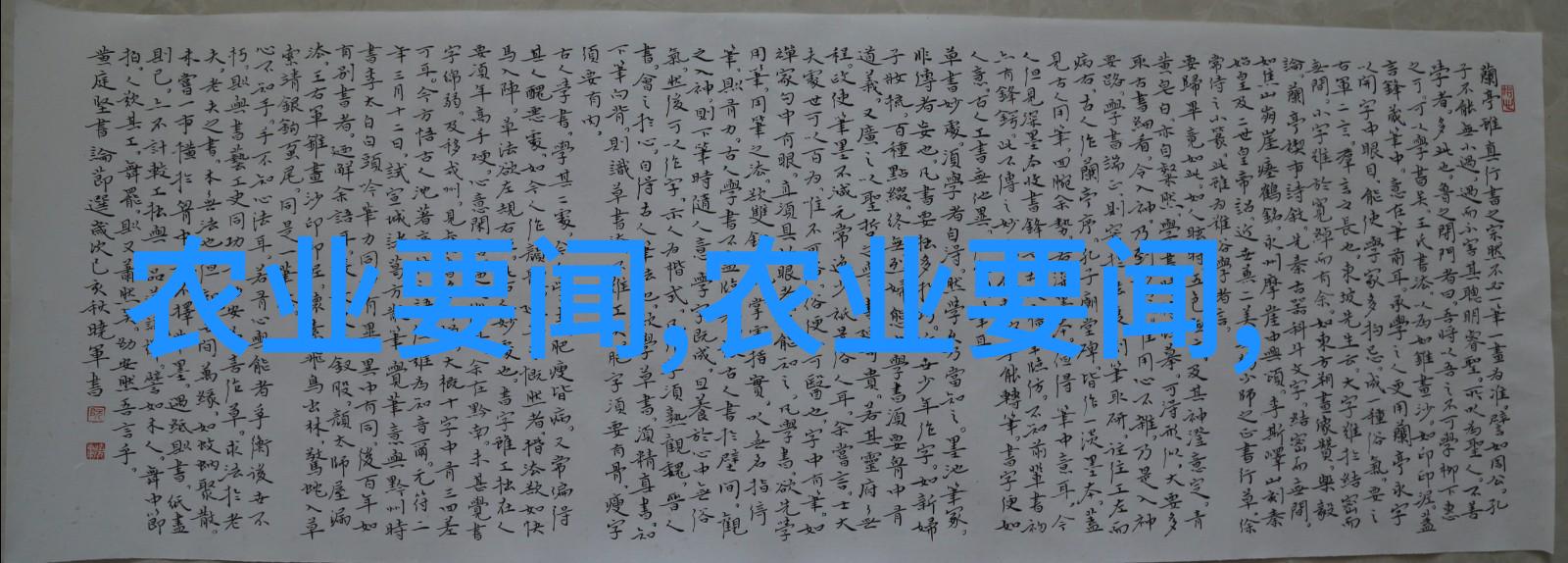 如何养好母猪的关键-精准投喂与环境适宜保证繁殖性能的两大要素