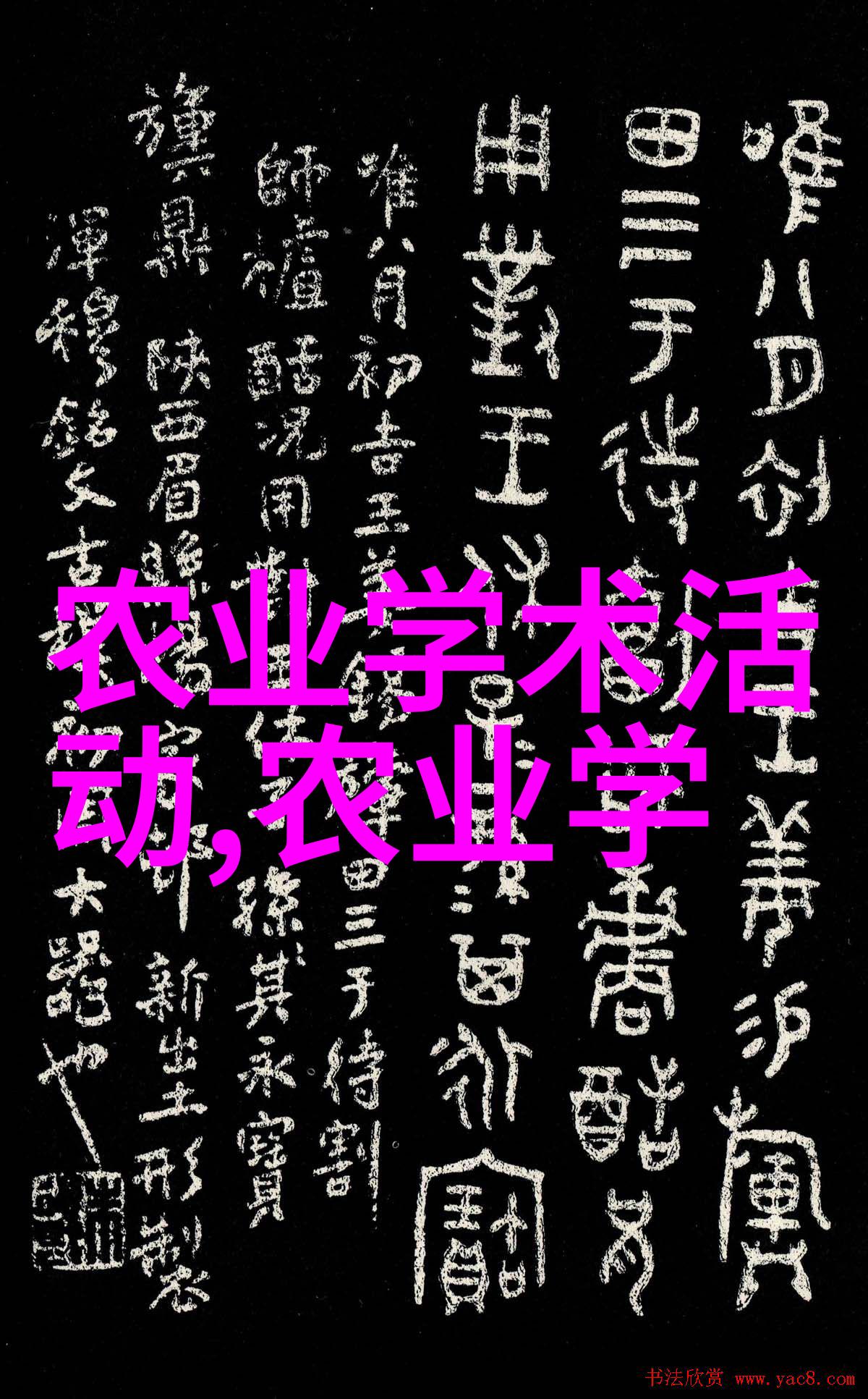 法律基础知识概述民法刑法行政法等法律体系的核心概念和应用