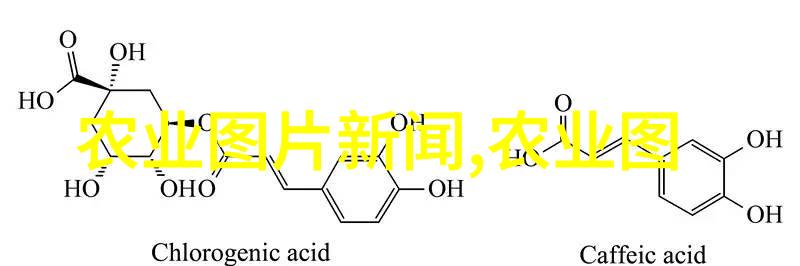 冬季室外耐寒的美丽花卉雪中梅冰心兰和翠藕的故事