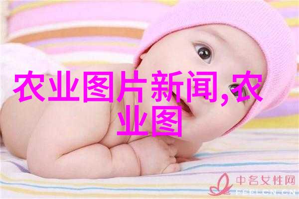 家养蜜蜂甜蜜收获解密如何制作取糖视频