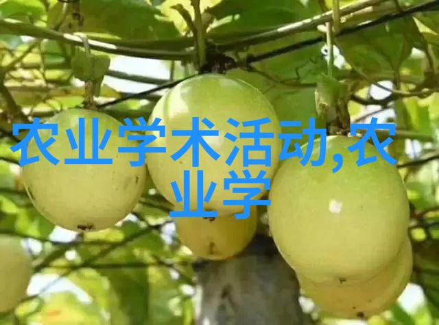 奶牛干乳的操作