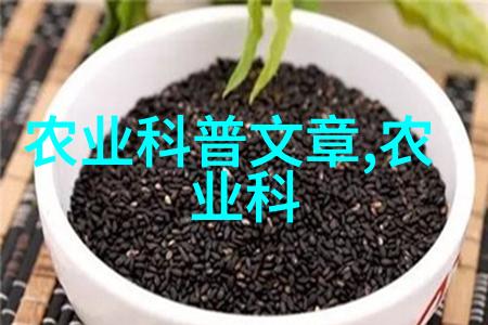 创业不需巨资18个理想选择