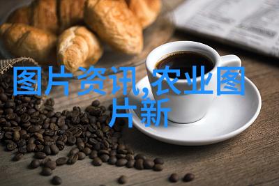 300只蜜蜂能养活蜂王吗探究蜜蜂社会结构与资源分配