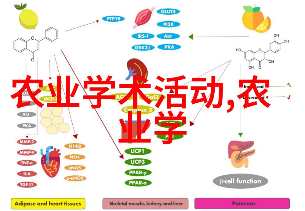 HD视界母亲与子的共同探索