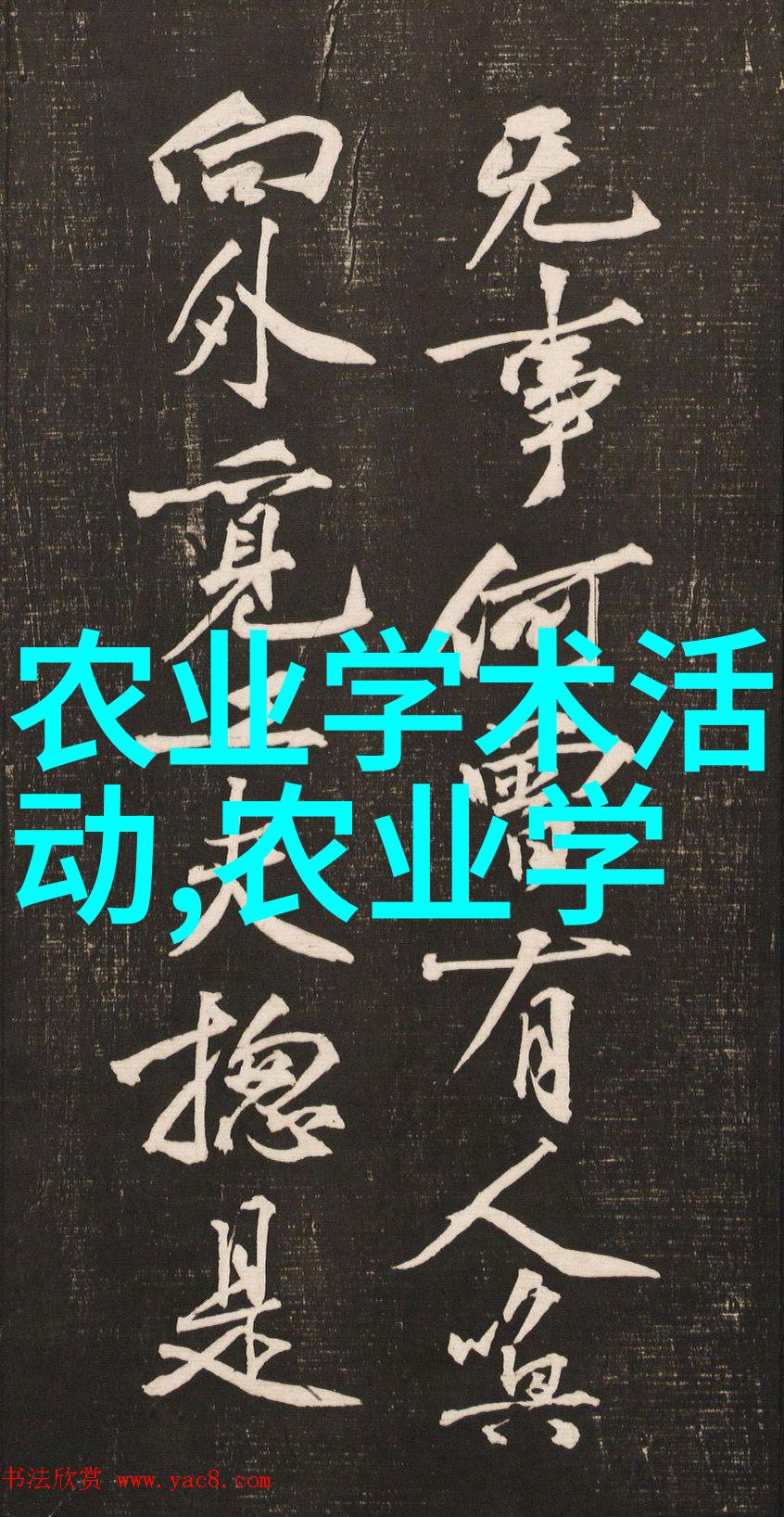 温暖的家园长耳兔与肉类的故事家庭宠物健康饮食