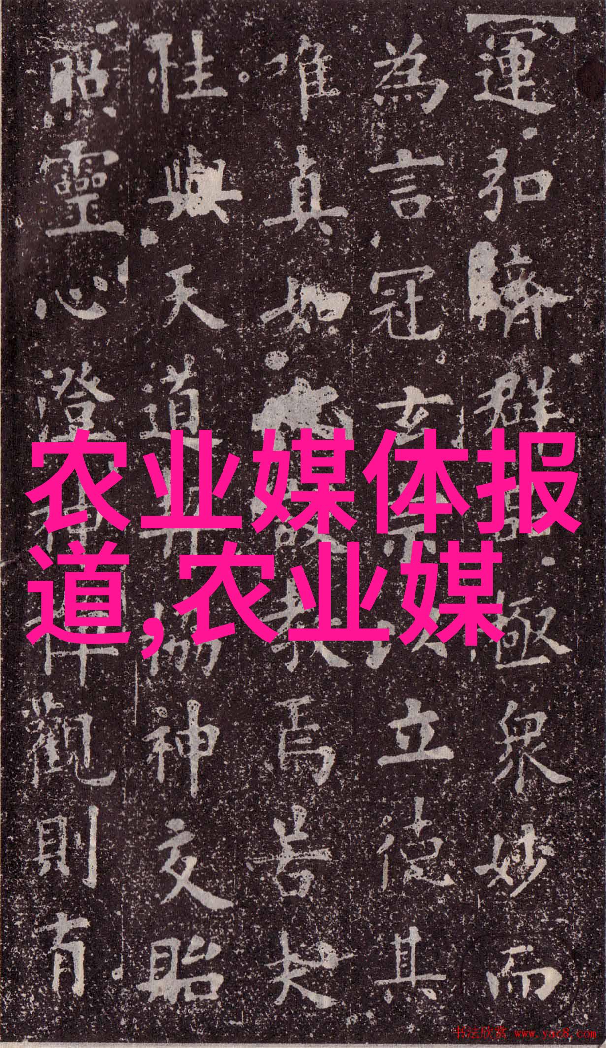 蛙跃田园牛蛙养殖技术的新篇章