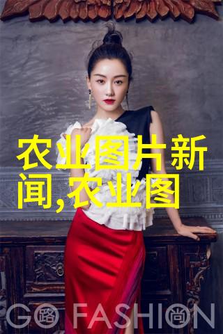 岁月静好银杏树下回忆与梦想的交织