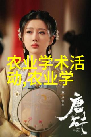 倾世皇妃小说-穿越之倾城帝后我是宫中最强的女人