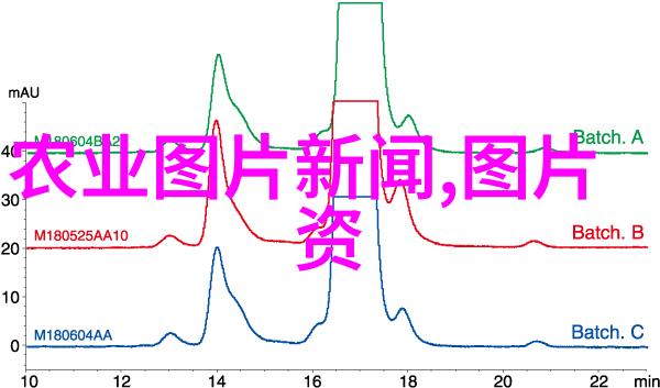 环境变化对农业生产影响大蒜期货走势探讨