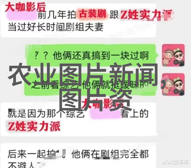 高效药材种植秘诀赚钱的选择在这里