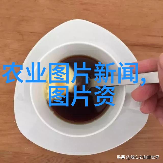 最旺宅的风水树能否提升居所价值