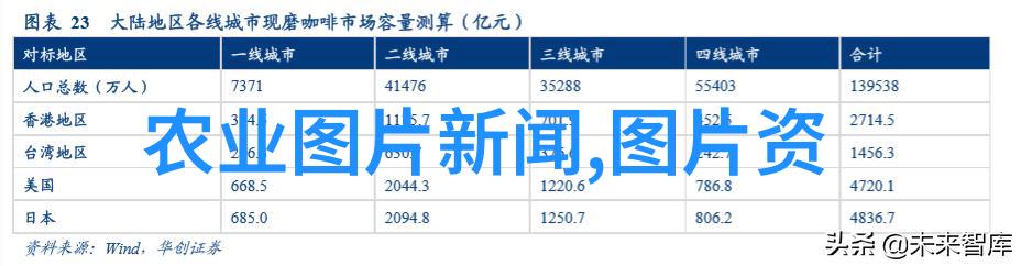 如何安全高效地从家养蜜蜂中取糖的技巧与方法