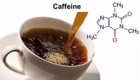 千万富翁的养殖梦揭秘注册公司背后的巨额开销