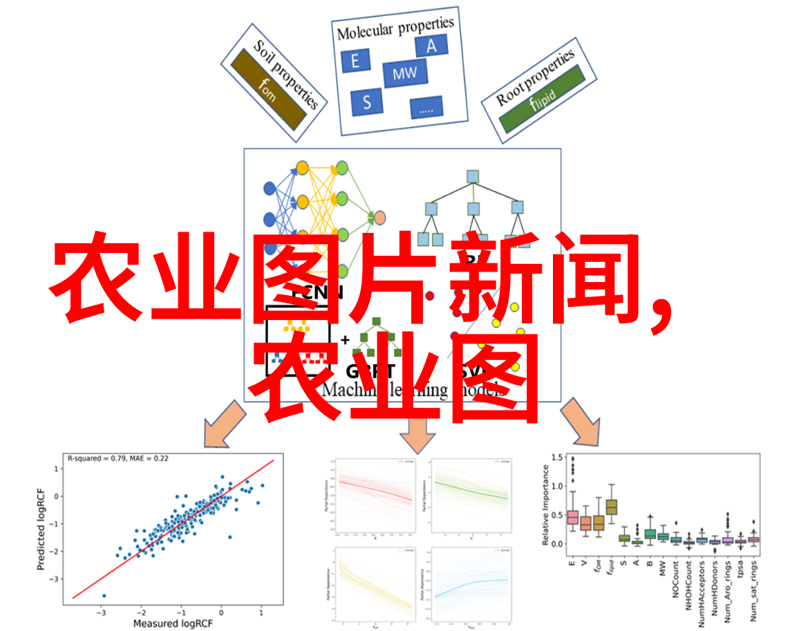 养蜂技巧-5脾蜂过冬调养秘诀适量喂糖确保健康