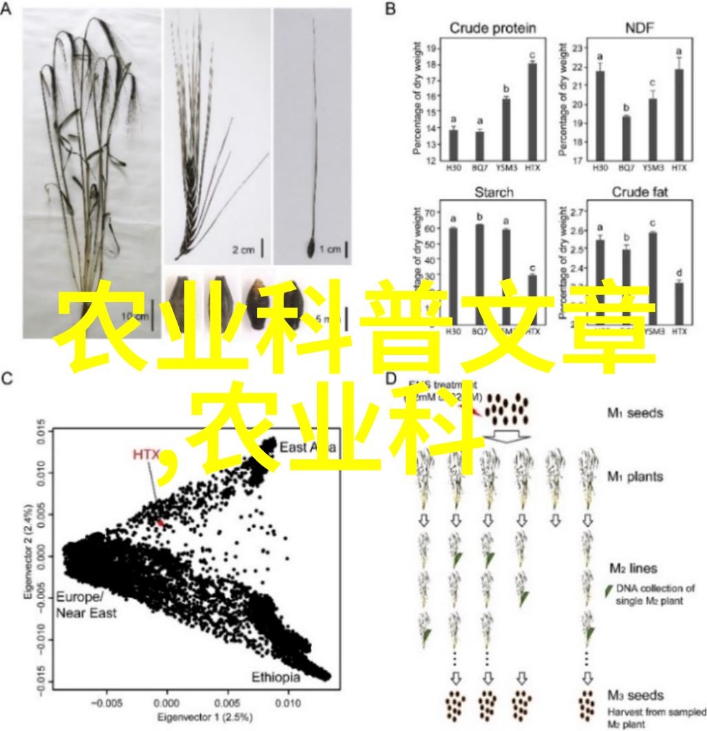 教育改革-2022师德师风十项准则铸就新时代教师的道德榜样