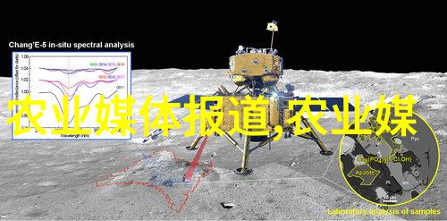 中国农业数据库官网从田间到网页播种笑容