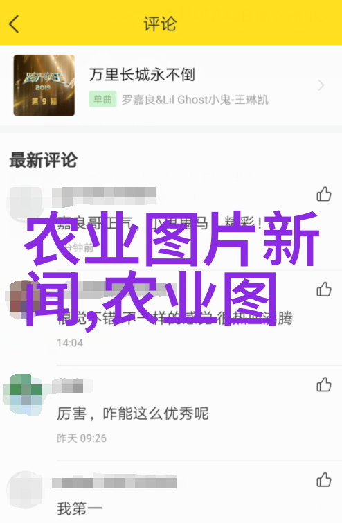 人工手动插秧机的智慧与力量传统农业技术的现代变革