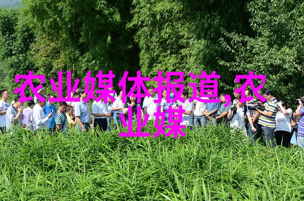 铁路学校概览揭秘铁路运输领域的教育机构